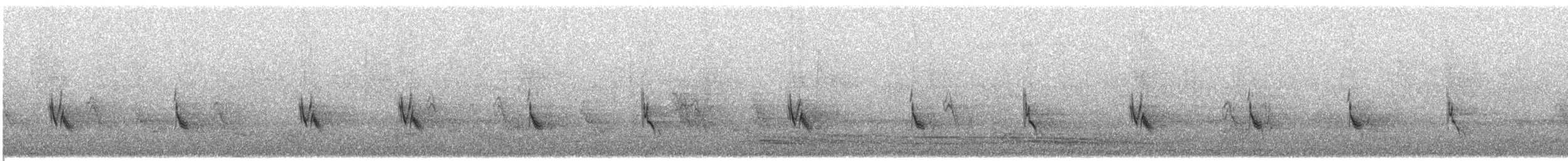 Swainson's Sparrow - ML609066690