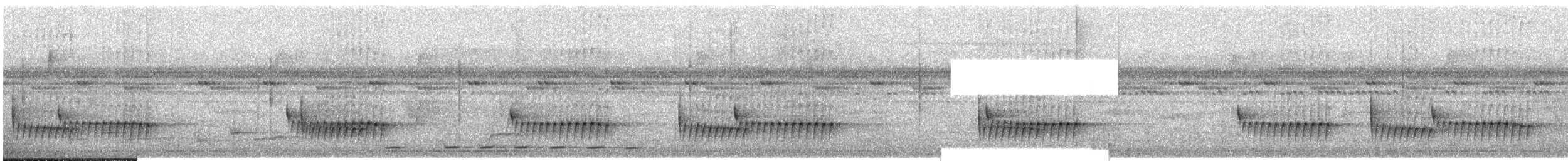 svartstrupeskredderfugl - ML609066712