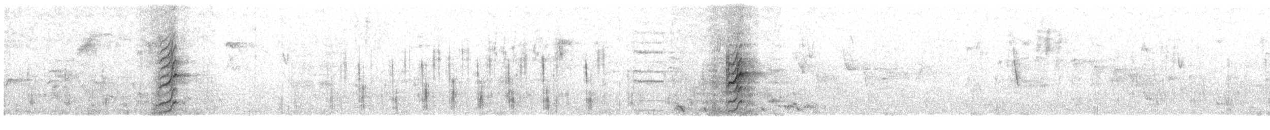 Black Sawwing - ML609066739