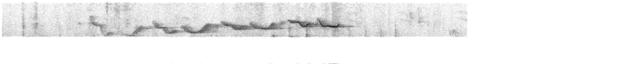 African Spotted Creeper - ML609066769