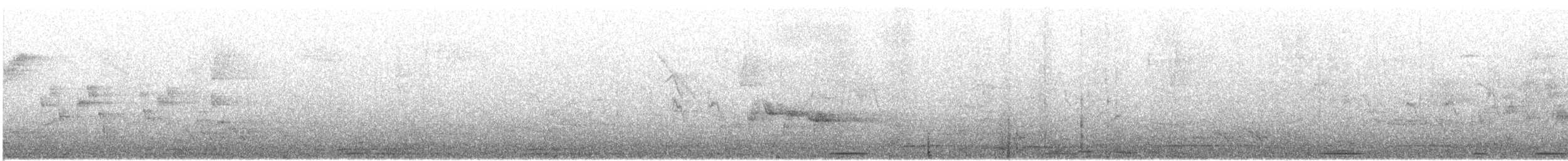 Tambourine Dove - ML609066870