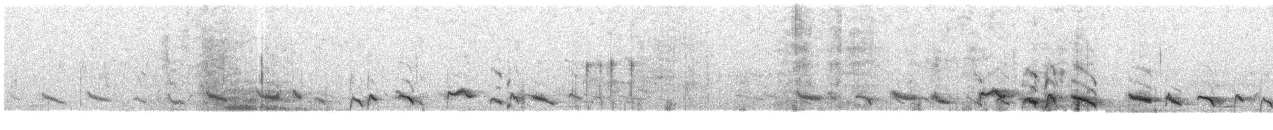 Bergbrillenvogel (poliogastrus) - ML609066916