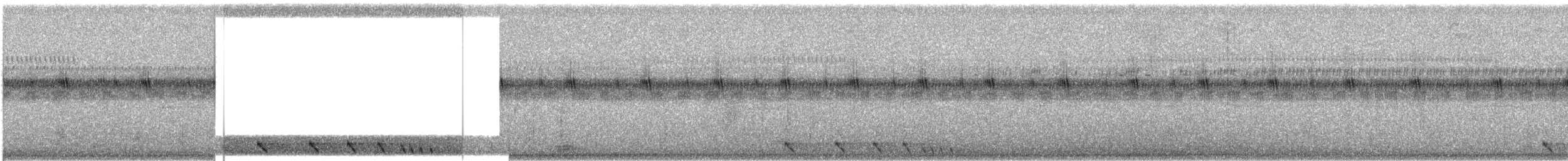 Chotacabras de Célebes - ML609066936