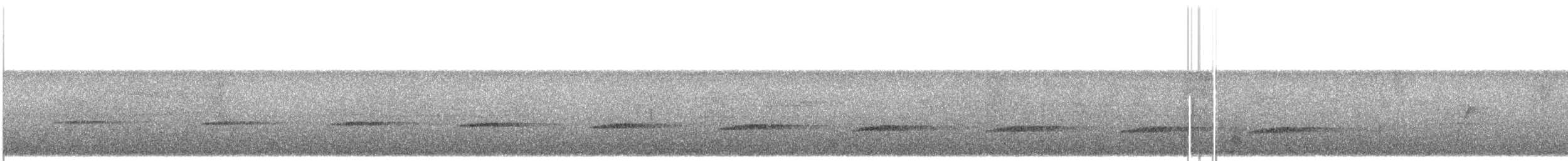 Кустарниковая кукушка (sepulcralis/everetti) - ML609067001