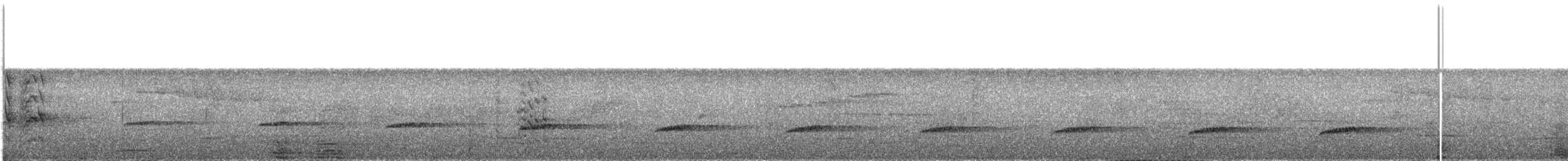 Кукавка австралійська (підвид sepulcralis/everetti) - ML609067002