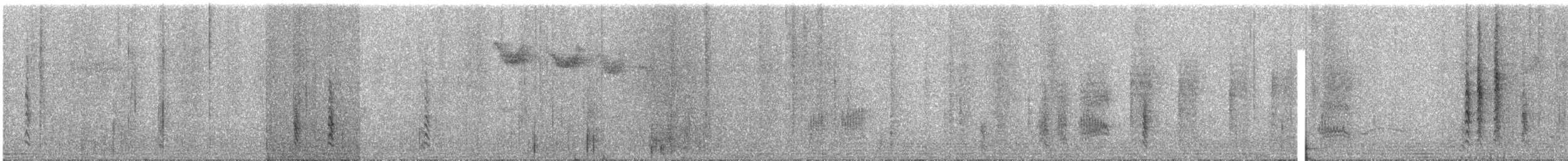 Long-billed Bernieria - ML609067083