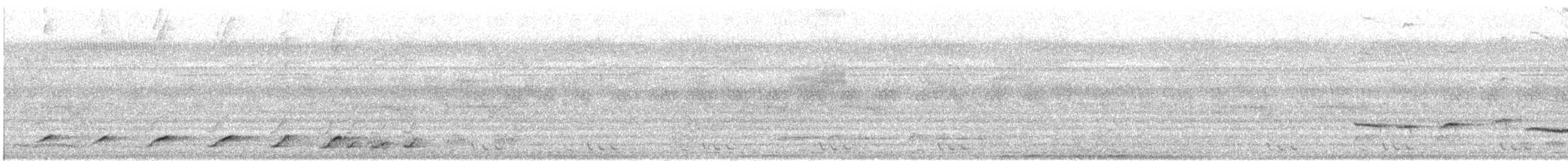 Beyaz Belli Şama [malabaricus grubu] - ML609067152