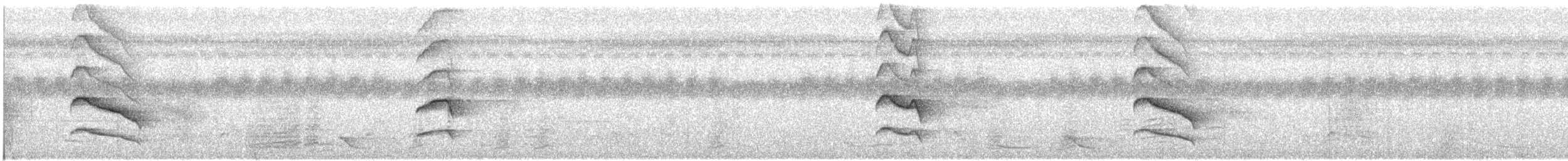 カンムリオウチュウ（hottentottus／brevirostris） - ML609067203