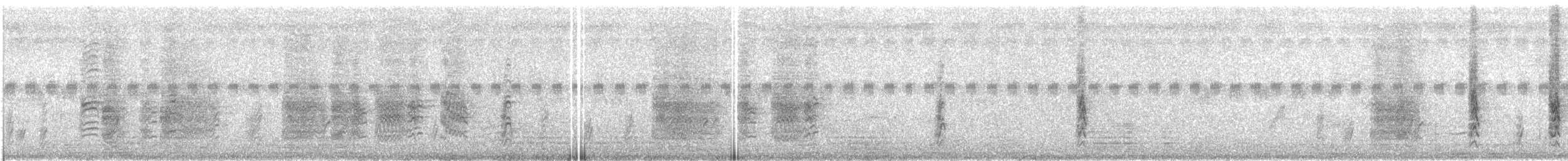 Drongo Real - ML609067205