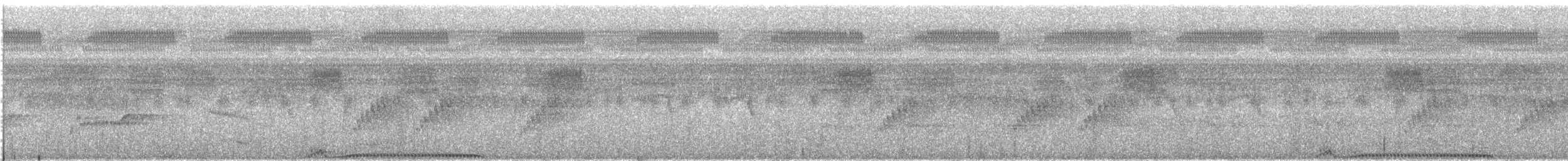 Carpophage de Pauline (groupe aenea) - ML609067214