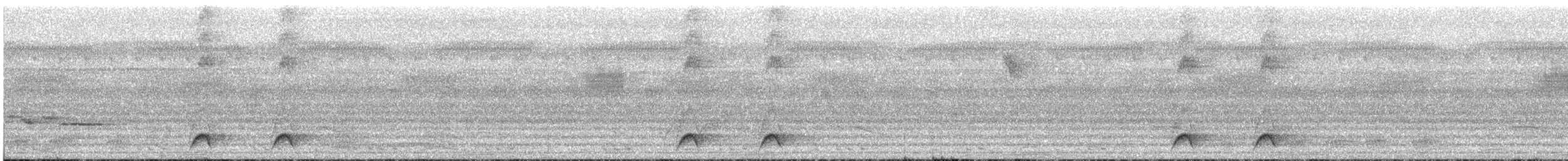 Western Hooded Pitta (Chestnut-crowned) - ML609067382