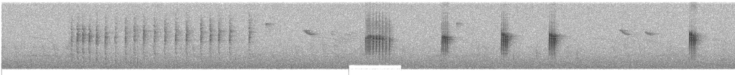 Ward's Vanga - ML609067425