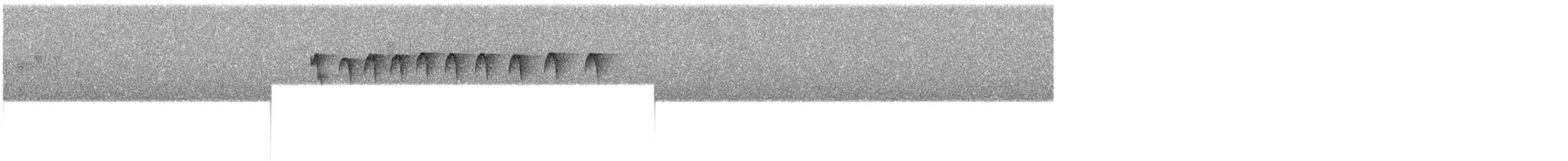 Common Sunbird-Asity - ML609067438