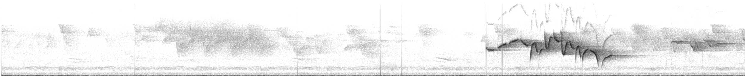 Тимелія-куцохвіст велика (підвид albiventer/pallidior) - ML609067620