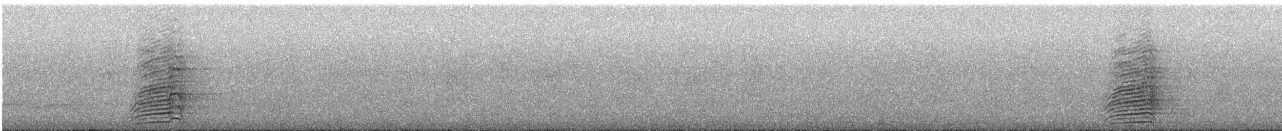 Sri Lanka Gray Hornbill - ML609067940