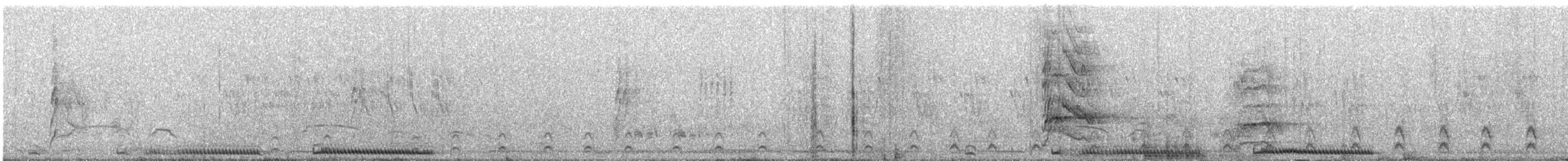 kukačka indická - ML609068024