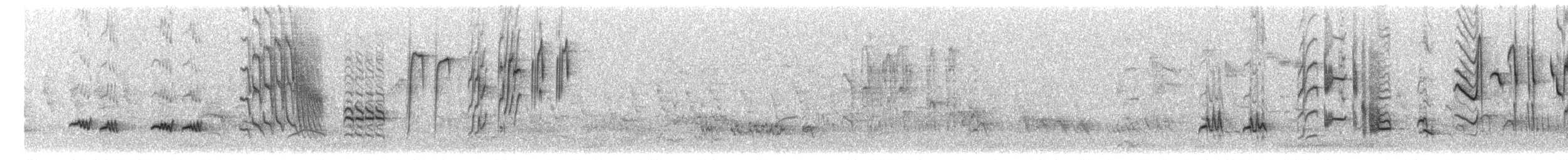 Indian Blackbird (Sri Lanka) - ML609068038