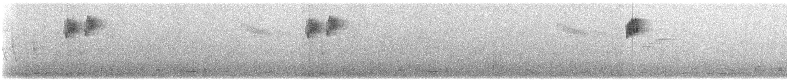 Indian Blackbird (Sri Lanka) - ML609068039