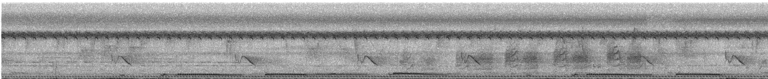 Barred Buttonquail - ML609068041