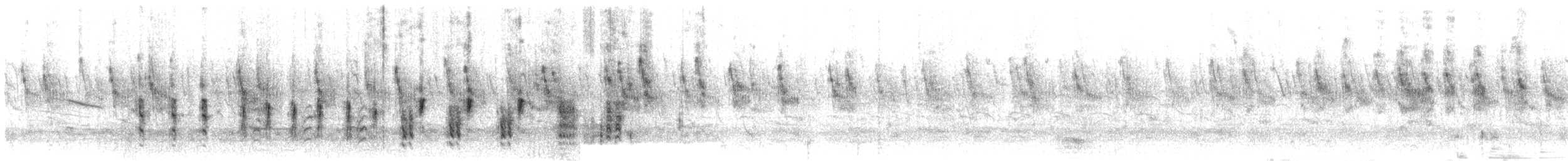 Rousserolle effarvatte (groupe baeticatus) - ML609068432