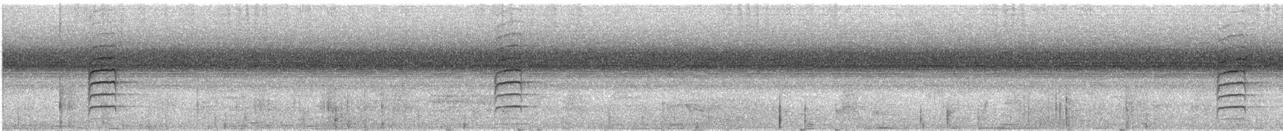 Camaroptère à tête grise (groupe brevicaudata) - ML609068490
