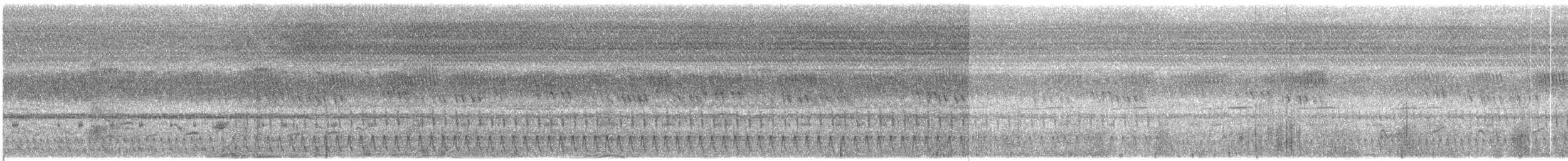 Square-tailed Nightjar - ML609068494