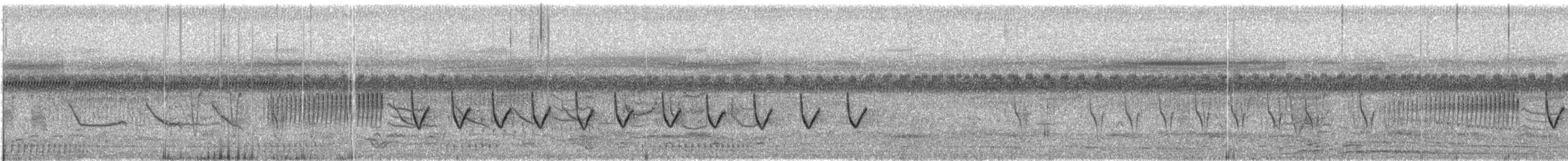 Cisticole du Nil - ML609068522