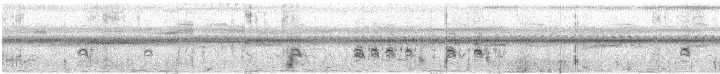 チャムネカエデチョウ（paludicola グループ） - ML609068557