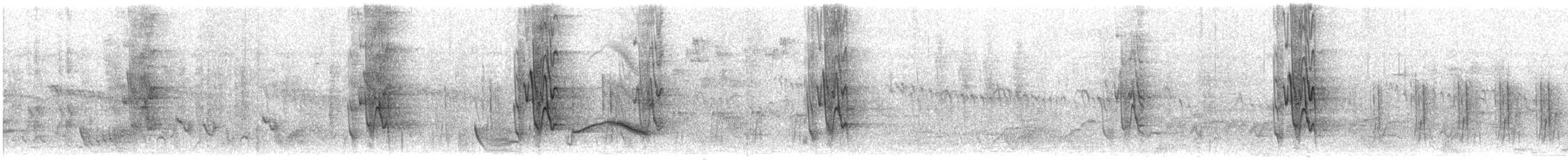 fiolettglansstær - ML609068589