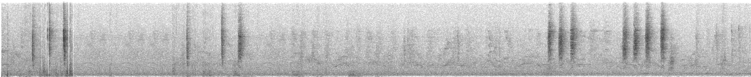 hvitvingepløsøye - ML609068648