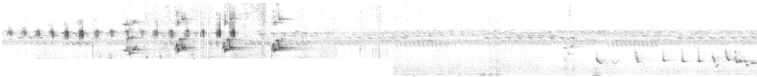 Meyer's Parrot - ML609068681