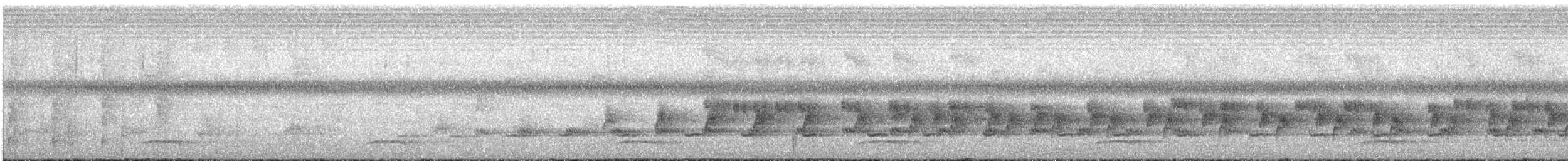 Принія зеброва (підвид melanops/obscura) - ML609068682