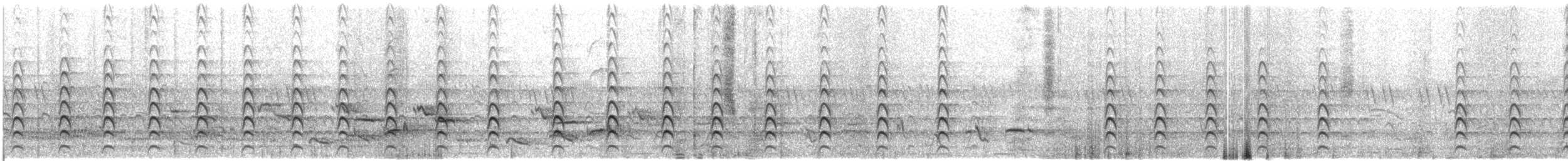Wattled Lapwing - ML609068709