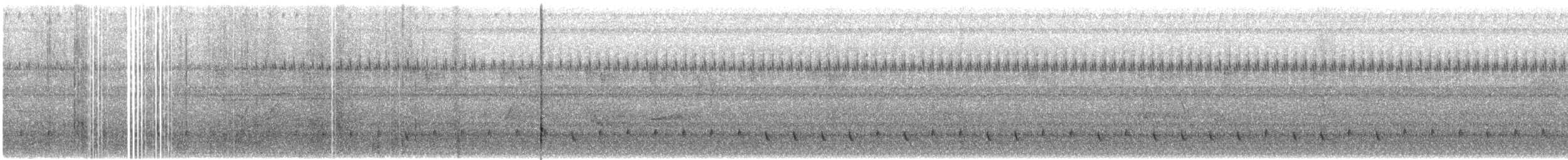 barbet černohrdlý - ML609068712