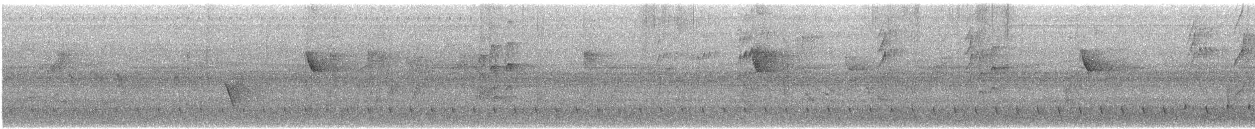 barbet černohrdlý - ML609068714