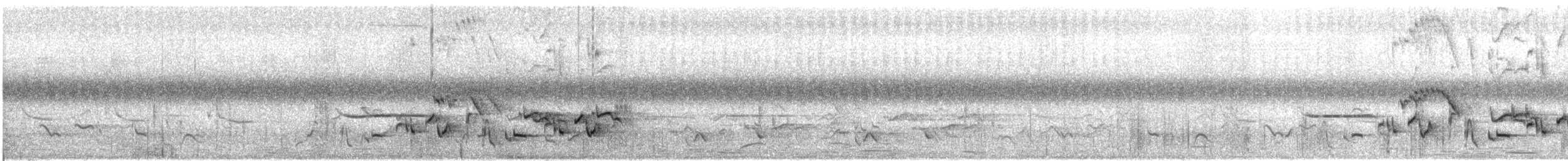 hvitbryntrosteskvett - ML609068903