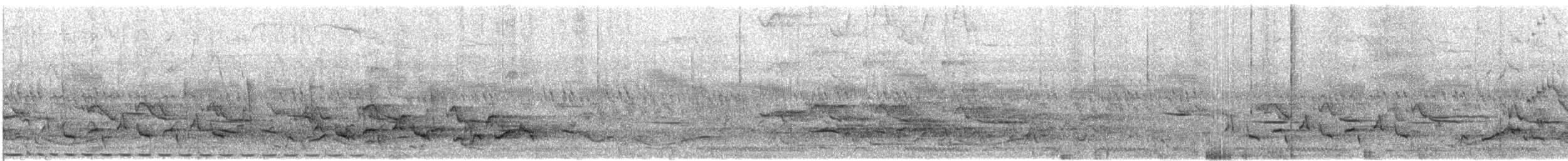 hvitbryntrosteskvett - ML609068904