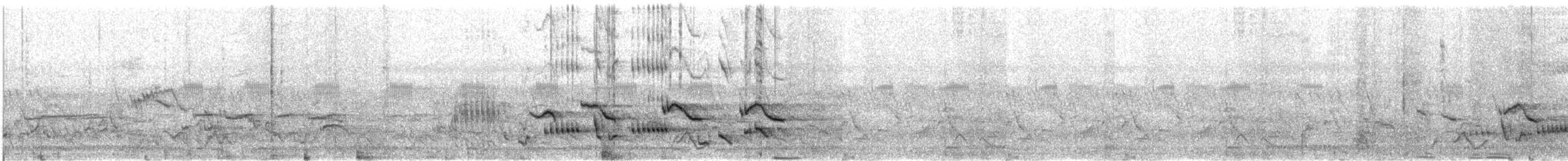 hvitbryntrosteskvett - ML609068905