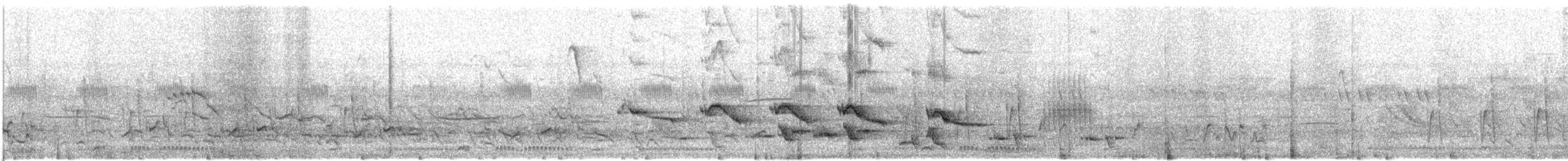 hvitbryntrosteskvett - ML609068906