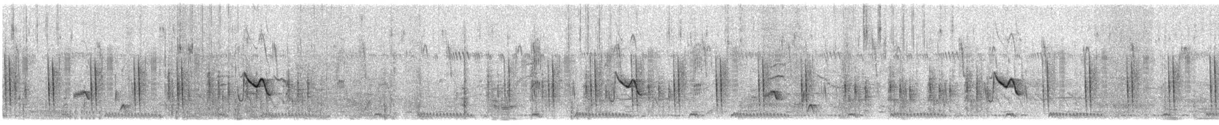 hvitbryntrosteskvett - ML609068908