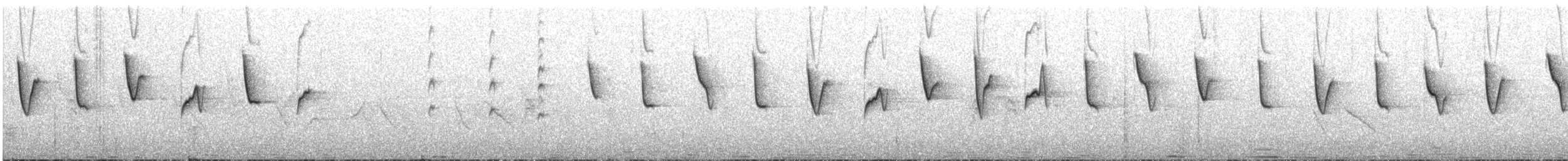 Mountain Chiffchaff (Kashmir) - ML609069024