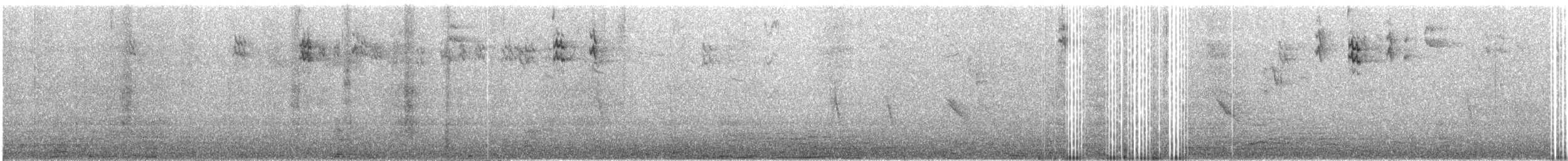gråflankefluesnapper - ML609069025