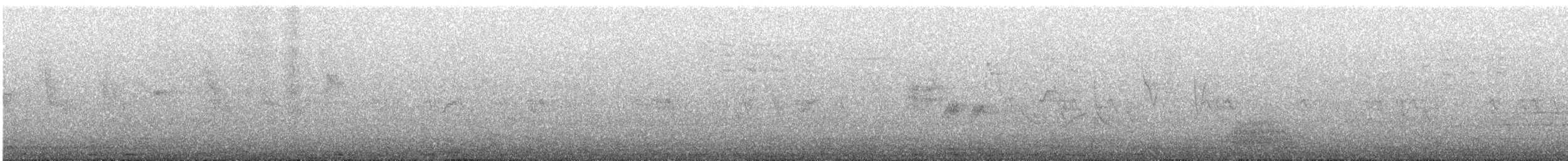 Одуд євразійський [група epops] - ML609069067