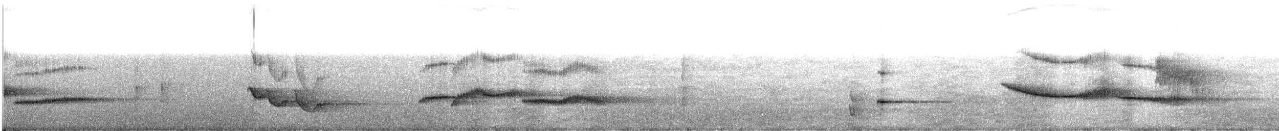 White-tailed Flycatcher - ML609069133