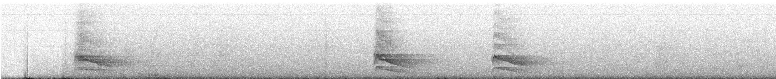 Bar-bellied Pitta - ML609069153