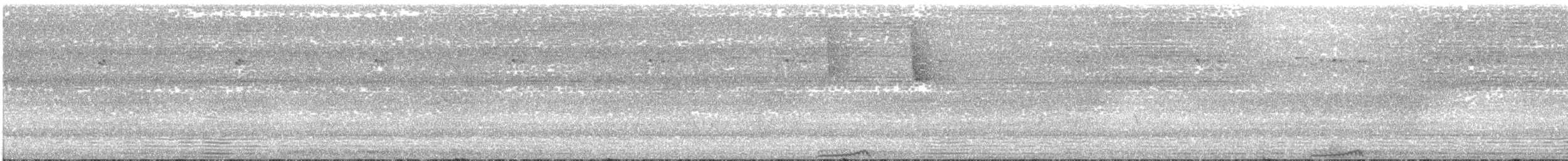 holub kovový (ssp. paulina) - ML609069288