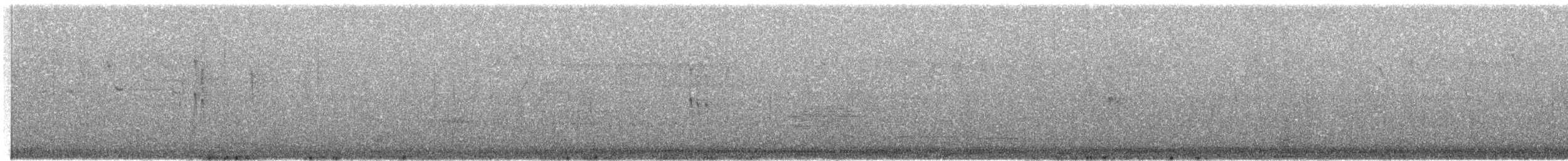Сулавесский острокрылый дятел - ML609069291