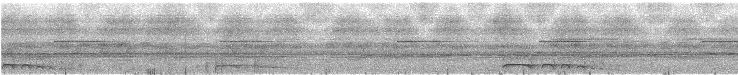 Moluccan Owlet-nightjar - ML609069555
