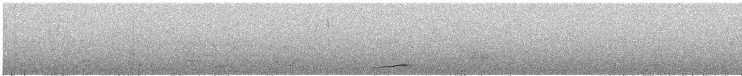 Grande Pseudobrève - ML609069563