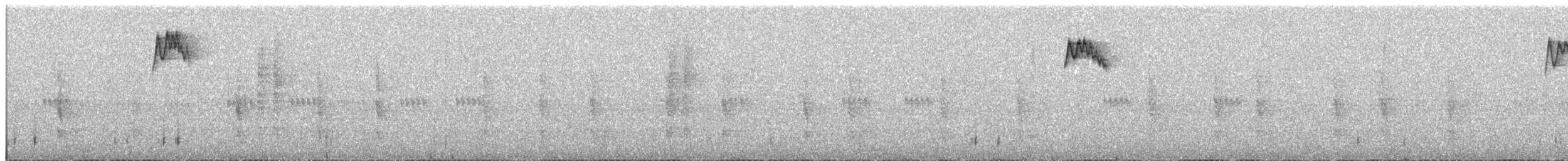 Yellow-crowned Flowerpecker - ML609069686